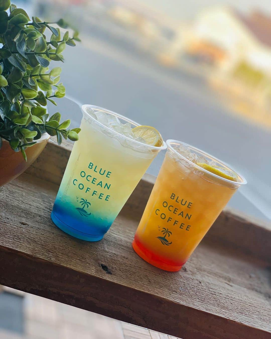 あいちの甘いやつのインスタグラム：「知多の魚太郎の真向かいにあるBLUE OCEAN COFFEE／海のドラゴンさんに行ってきた🙌🏻✨  どら焼き専門店❤︎と映えドリンクが頂けるカフェが合体したお店です🥰  生いちごどら🍓 生チョコバナナどら🍌 色んなどら焼きがあった🤭  どら焼きというよりパンケーキみたい🥞✨  写真のどら焼きはティラミス✨ ドリンクは ブルーオーシャン 480円 サンセットオレンジ 450円  どちらもスッキリ✨ 酸味も強くて冬より夏のほうが飲むにはオススメ😂💕  どら焼きはお土産としても人気で行列できてました🤭  知多ドライブの途中にさらっと寄れる素敵なお洒落カフェです🙌🏻✨  #名古屋カフェ #名古屋カフェ部 #あまなび #名古屋インスタ交流会 #インスタグルメアワード2021 #genic_sweets #インスタグルメショー #グルメディア #trevary #nagoya_style #知多カフェ」