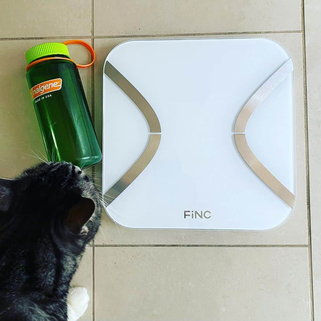 SPRiNGさんのインスタグラム写真 - (SPRiNGInstagram)「いい加減太りすぎ問題に向き合うためランニング始めました💡走るとマスクがくるし過ぎる😨ということを知り...トレーニング用のマスクを初めて購入🏃‍♀️毎日健気に応援してくれるFINCとともにちょっと頑張ってみます😁🙌  #FINC #ダイエット #マスク #エディターO」2月7日 20時54分 - spring_tkj