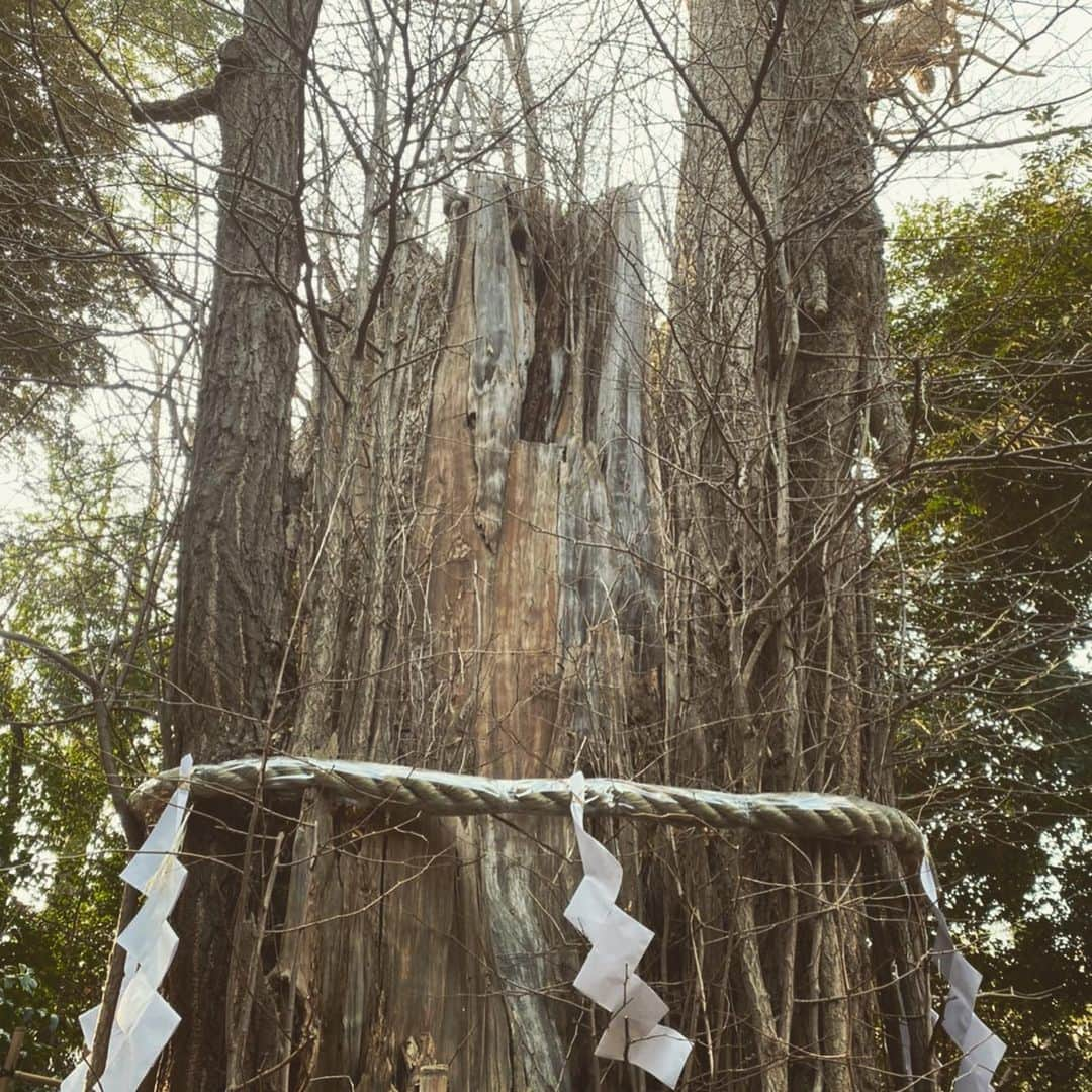 TEEDAさんのインスタグラム写真 - (TEEDAInstagram)「I prayed at “Okunitama-jinja” shrine for BACK-ON’s New album “Flip Sound” and our health and good future.  I got a spiritual energy at there again！  2月17日発売のBACK-ONのNEW ALBUM「Flip Sound」の発売の願掛けに去年も行った　#大國魂神社　に参拝に行って来たよ！ カッコいい曲を作ったから、神様の加護があれば良いなと！  #backon #teeda #kenji03 #newalbum #flipsound #pray #shrine #okunitamashrine #spiritualenergy #パワースポット　#参拝　#願掛け」2月7日 20時57分 - teeda_bo