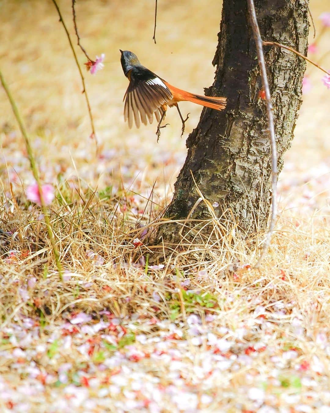 иαяα & куσтσ νιятυαℓ ωσяѕhιρのインスタグラム