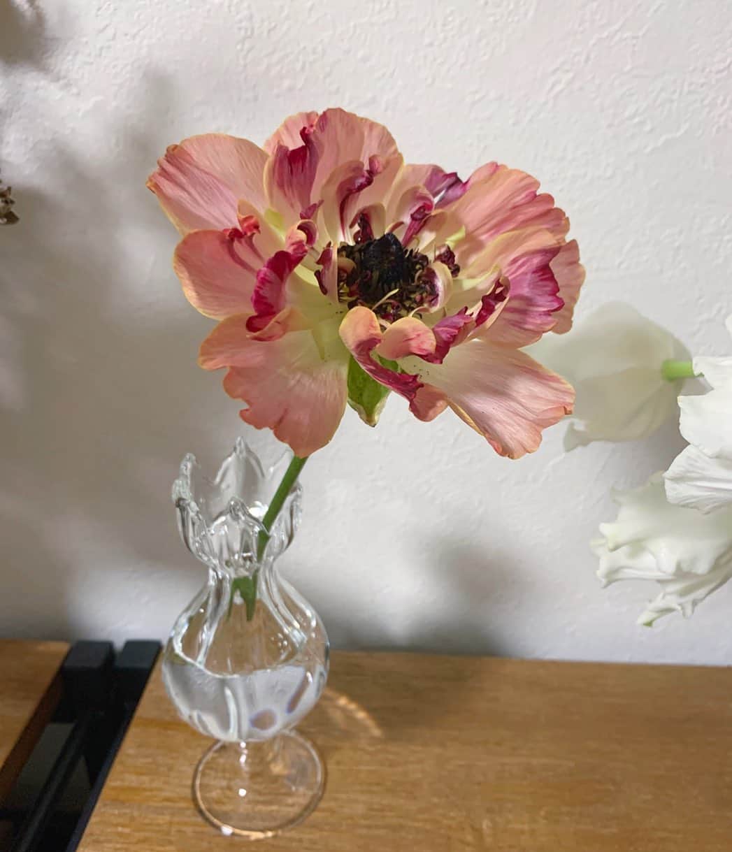 遠藤瞳のインスタグラム：「最近いちばんのお気に入りの フラワーベース🌼 気になってたお花屋さんに フラッと行ったら出会えた🥰 お花屋さんに並ぶお花が どんどん春めいてきたなー♡  いよいよ今年も花粉症との戦いが始まる🤧 しかも去年より飛散量多いらしいね🙄 インナーケア意識してきた つもりだけど果たして...🙄  #お花  #instalike #instadaily  #instaphoto #instapicture #instapic #photooftheday #instagood #instagramjapan  #lifestyles #flower #flowers #bouquet #flowerstagram #花のある暮らし」