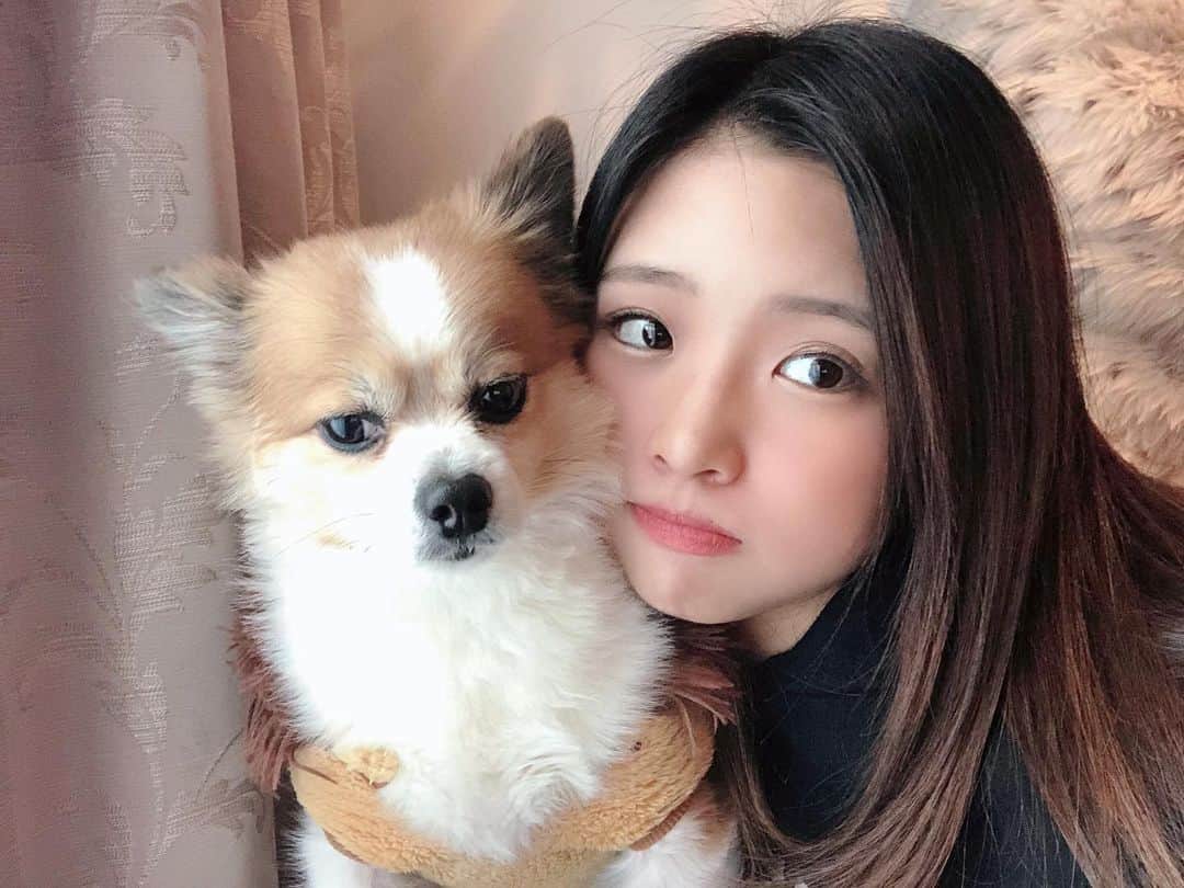 石井美音奈のインスタグラム：「レオ君全然見てくれません！ でも可愛いからいいのです😍💓」