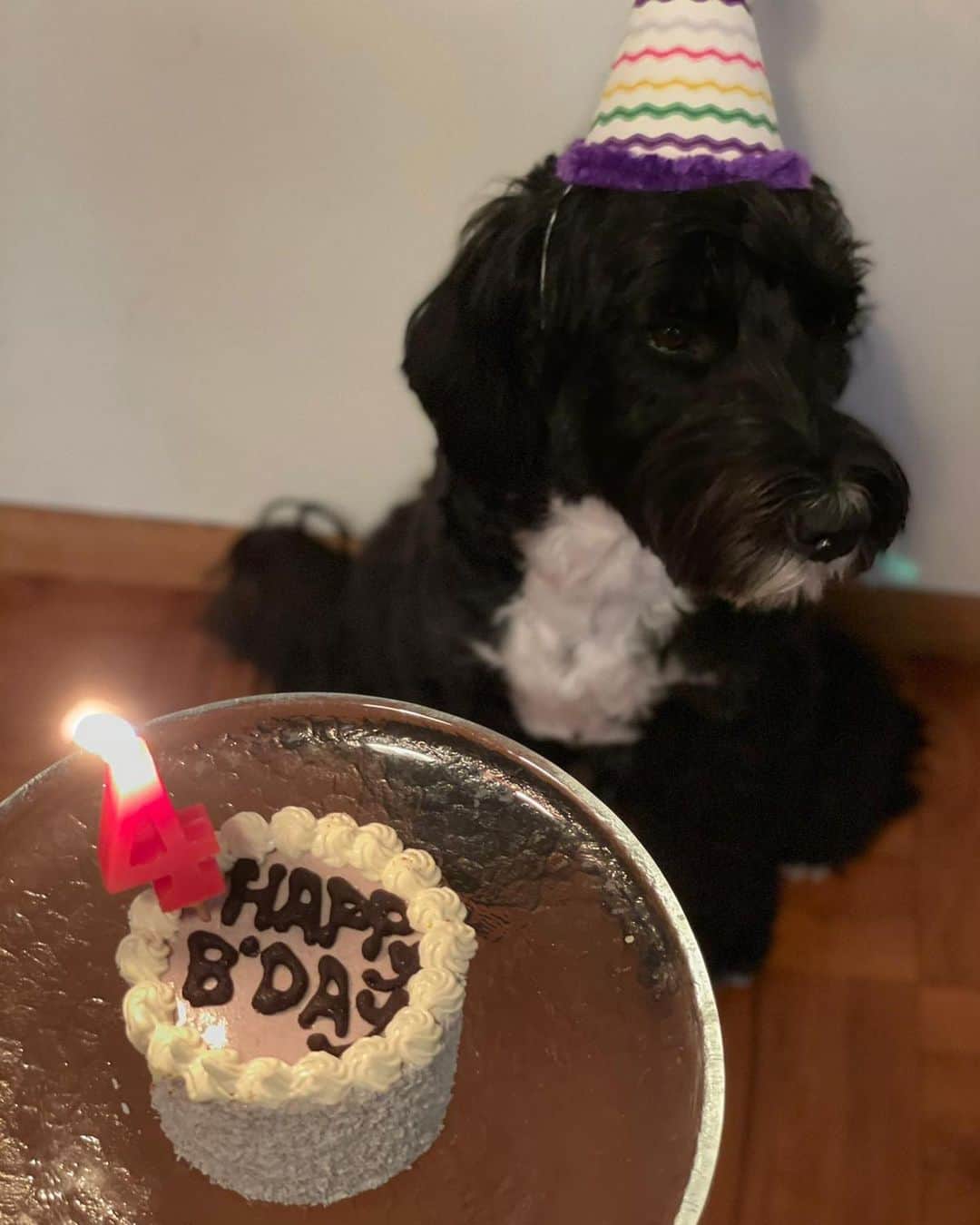 余文樂のインスタグラム：「HAPPY BIRTHDAY TO MY BOY  Miss you so much ... #Rocco」