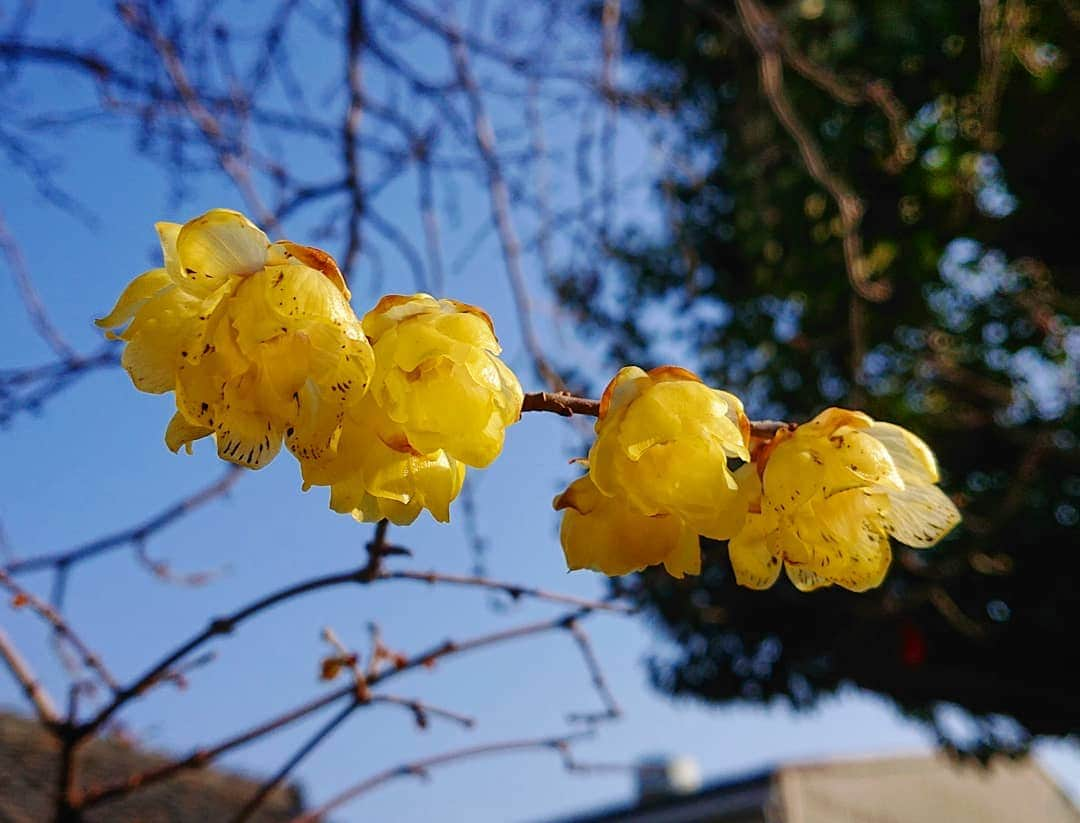 和田益典のインスタグラム