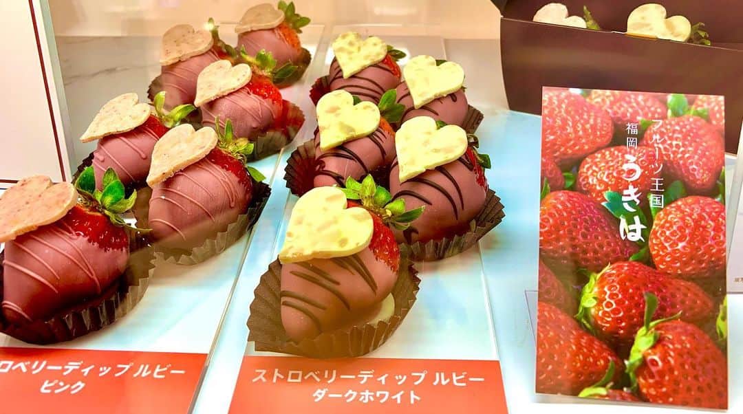 上杉あずさのインスタグラム：「. 【 #うきは自慢 #地元自慢】 1週間後の #バレンタインデー #🍫 は うきは産 #あまおう を使用したGODIVAのチョコで決まり🧡💜  去年に引き続き #うきは ✖️ #ゴディバ のコラボ商品🤍 #アトリエドゥゴディバ  先日、 #博多阪急 で買ってきましたが、ほんっと美味しかった😍😍 チョコの上品なコクと味わい、イチゴの甘酸っぱさ。チョコの甘さであまおうのフレッシュな甘酸っぱさが際立ってました！ 一口だからほんの数秒だけど、甘さとコクと爽やかな酸味の走攻守三拍子揃った名プレイヤーです💪🏼❤️❤️ #valentinefesta2021 2/14まで博多阪急で開催中とのことです！皆さんも、密を避けてレッツゴー！！！ #valentines #chocolate #strawberry #hakata #hankyu #valentinesday2021 #fair #fukuoka #ukiha #madeinukiha #godiva #godivaコラボ」