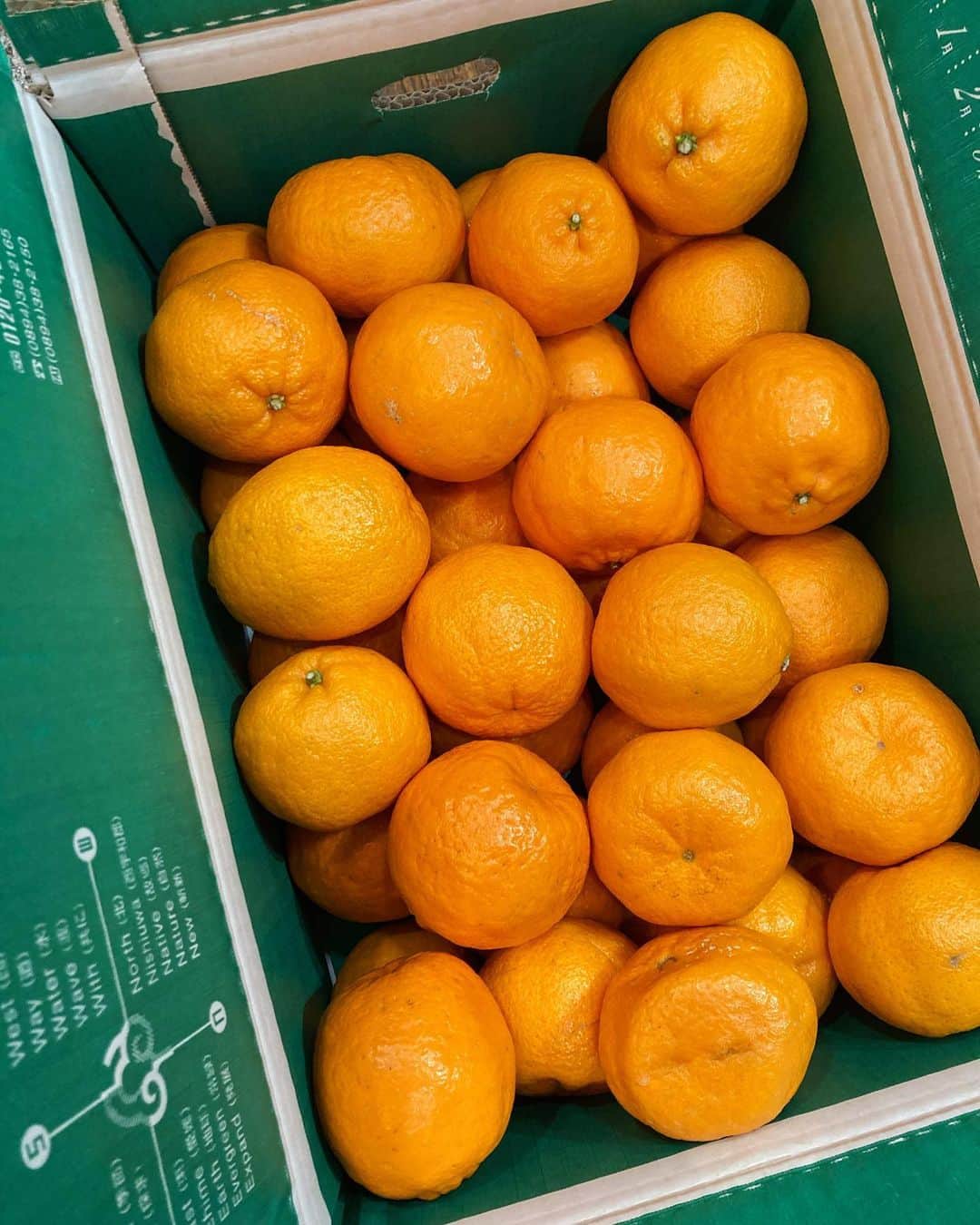 水戸悠夏子のインスタグラム：「お店の2階にたくさんの柑橘が届いて、見てるだけで元気になるし良い香り〜。果物って可愛いですよね。 #ポンカン#伊予柑」