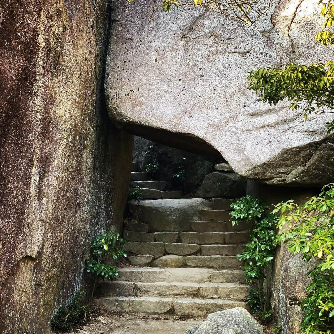 潮圭太さんのインスタグラム写真 - (潮圭太Instagram)「宮島 弥山に登って来ました！ 景色最高！ どこ撮ってもいい感じ！ 明日筋肉痛！ #宮島 #弥山 #七不思議 #登山 #ロープウェイ #景色 #最後 #途中の #自販機 #お茶 #300円 #え #ウソでしょ #買ったけど」2月7日 21時41分 - memberushio