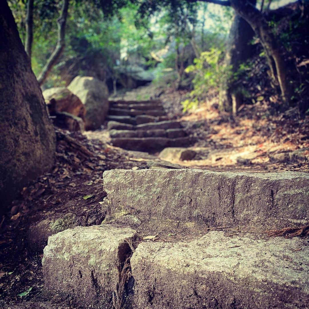 潮圭太さんのインスタグラム写真 - (潮圭太Instagram)「宮島 弥山に登って来ました！ 景色最高！ どこ撮ってもいい感じ！ 明日筋肉痛！ #宮島 #弥山 #七不思議 #登山 #ロープウェイ #景色 #最後 #途中の #自販機 #お茶 #300円 #え #ウソでしょ #買ったけど」2月7日 21時41分 - memberushio