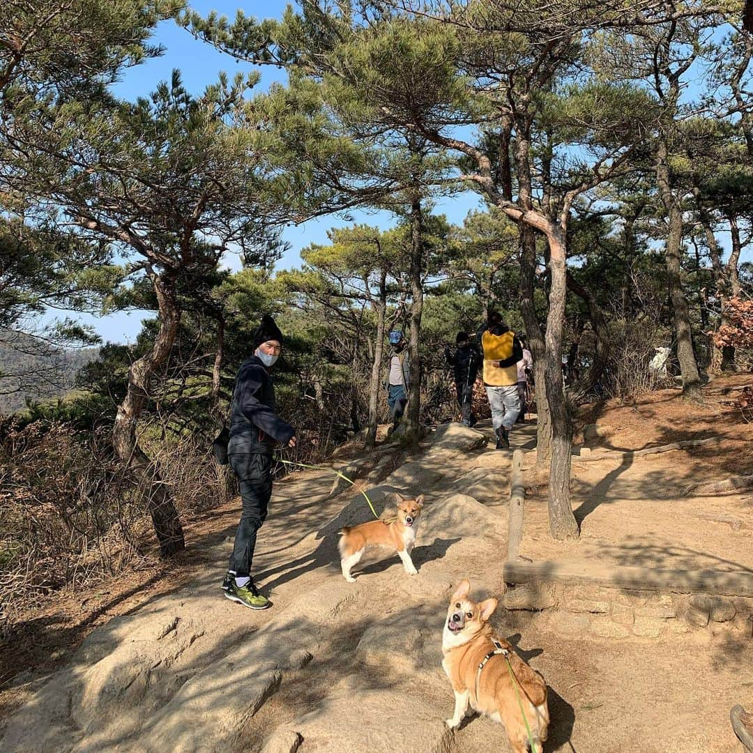 カン・ギルジュンのインスタグラム：「태양이랑 짜리랑 짜리엄마랑🥰」