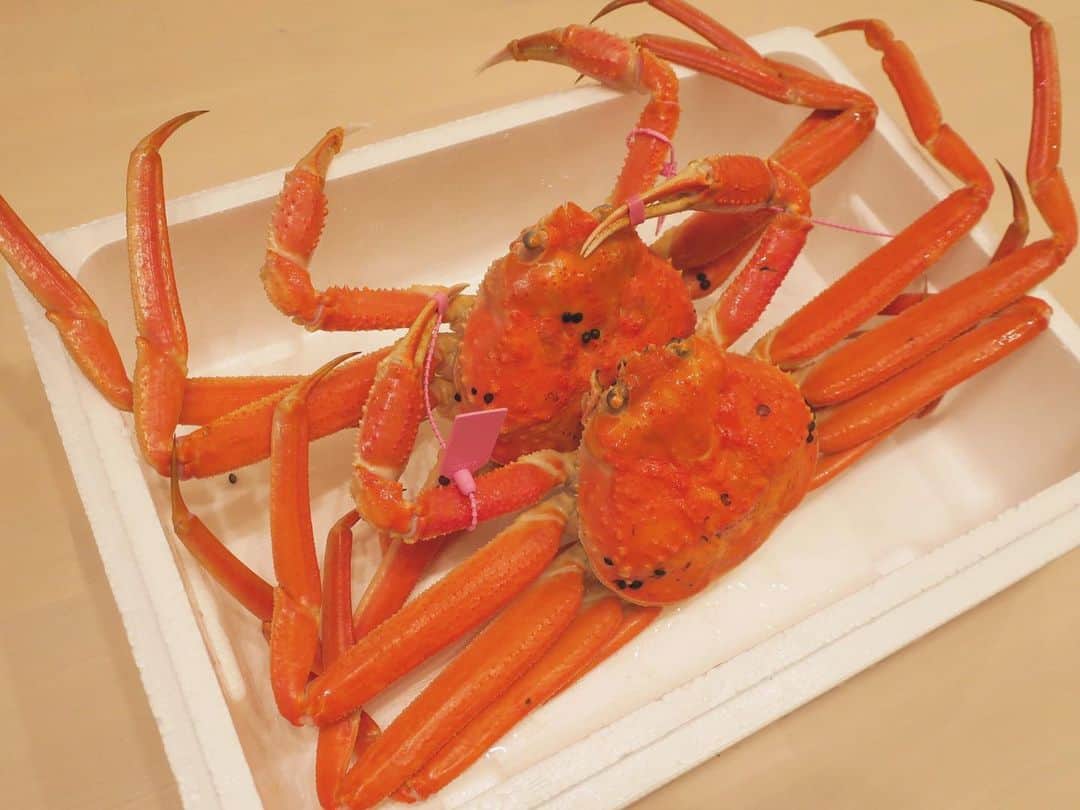 熊澤枝里子のインスタグラム：「ふるさと納税で届いたカニ🦀 毎年恒例の「カニ食べ行こう」会ができてなかったこの冬。 ふるさと納税のおかげでたっぷり家でカニを堪能できた🙏🤤 手巻き寿司と共に🍣 #おうちごはん #カニ食べ行こう 🦀」
