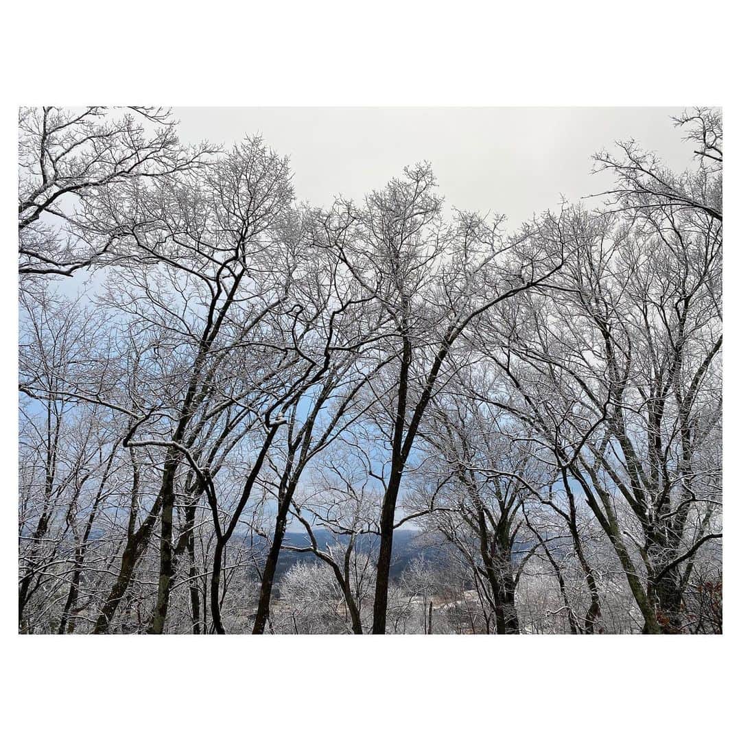 ジェシー・ベイリンのインスタグラム：「true blue morn 🪁」