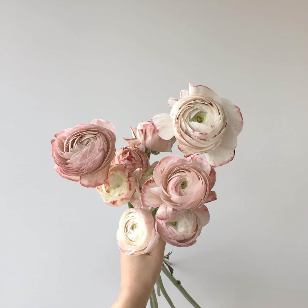 플로리스트 이주연 florist Lee Ju Yeonのインスタグラム