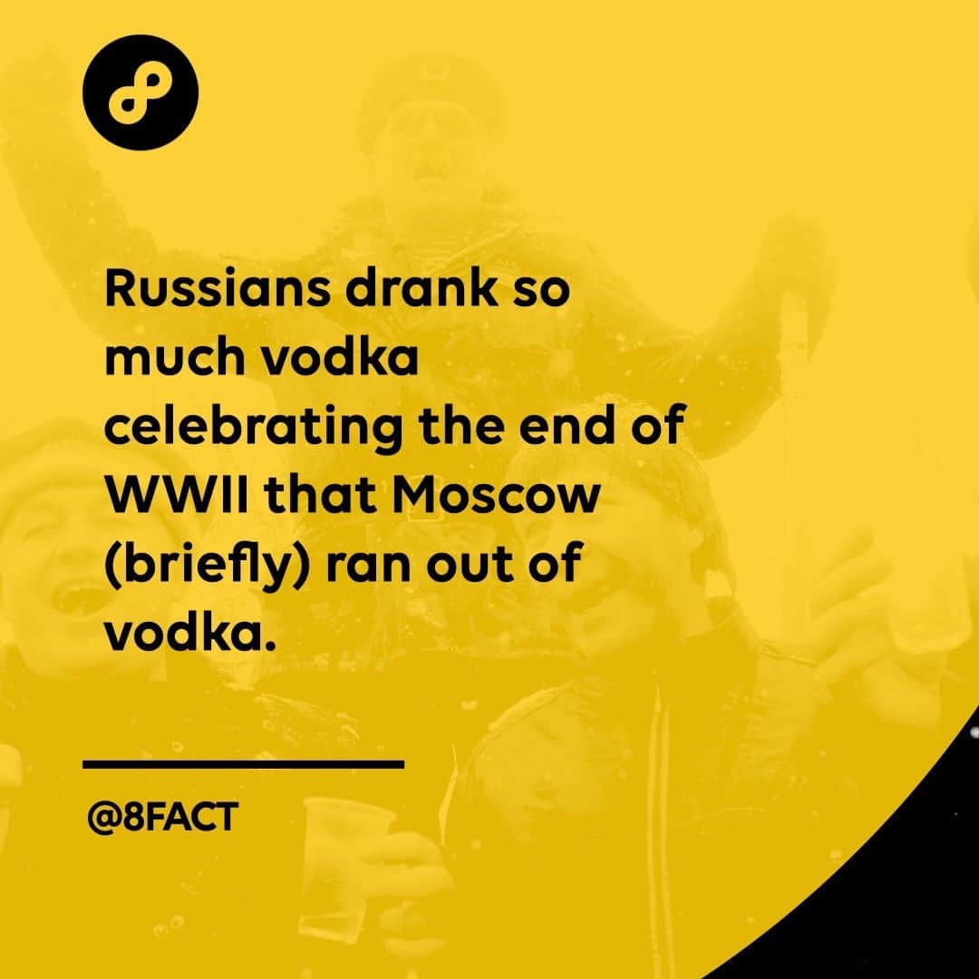 のインスタグラム：「*slav intensifies*」