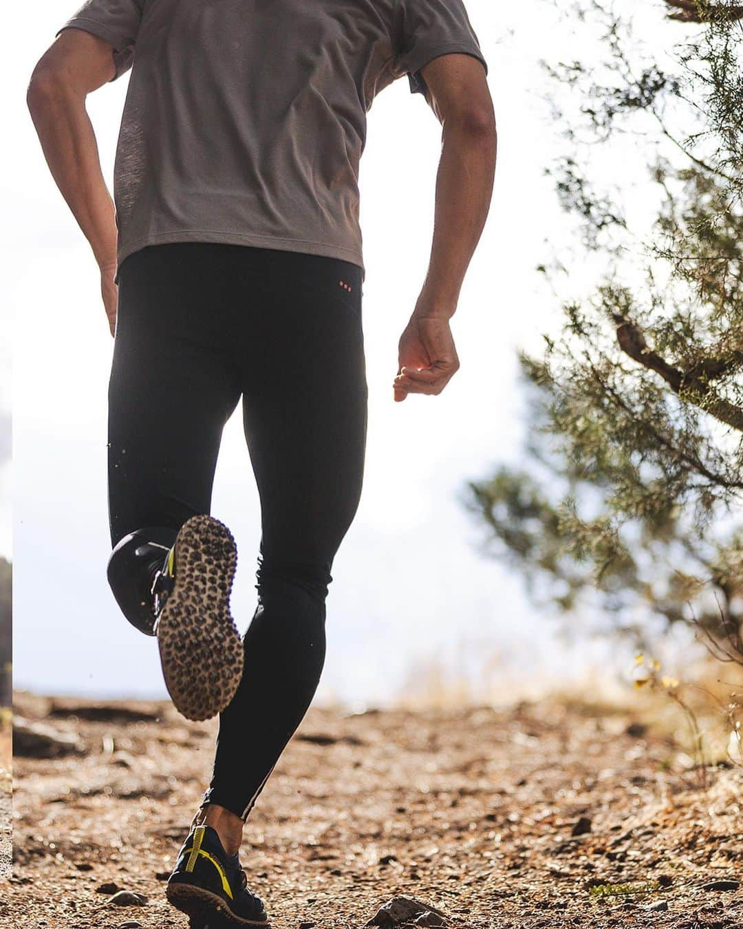 サッカニーさんのインスタグラム写真 - (サッカニーInstagram)「That feeling when everything just … clicks. ⁣ ⁣ The Switchback 2 is a race-ready machine that delivers what you need for quick days on the trail. ⁣ ⁣ #Swiitchback2 #RunForGood」2月8日 1時04分 - saucony