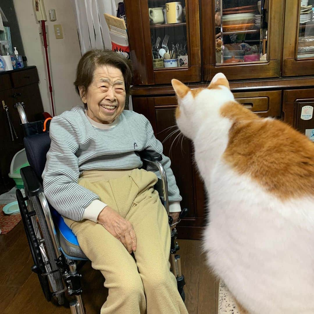 Kachimo Yoshimatsuさんのインスタグラム写真 - (Kachimo YoshimatsuInstagram)「バーバとおいなりちゃん。 Mother & Oinari #うちの猫ら #oinari #バーバ　#バーバと猫 #猫 #ねこ #cat #ネコ #catstagram #ネコ部 http://kachimo.exblog.jp」1月24日 17時44分 - kachimo