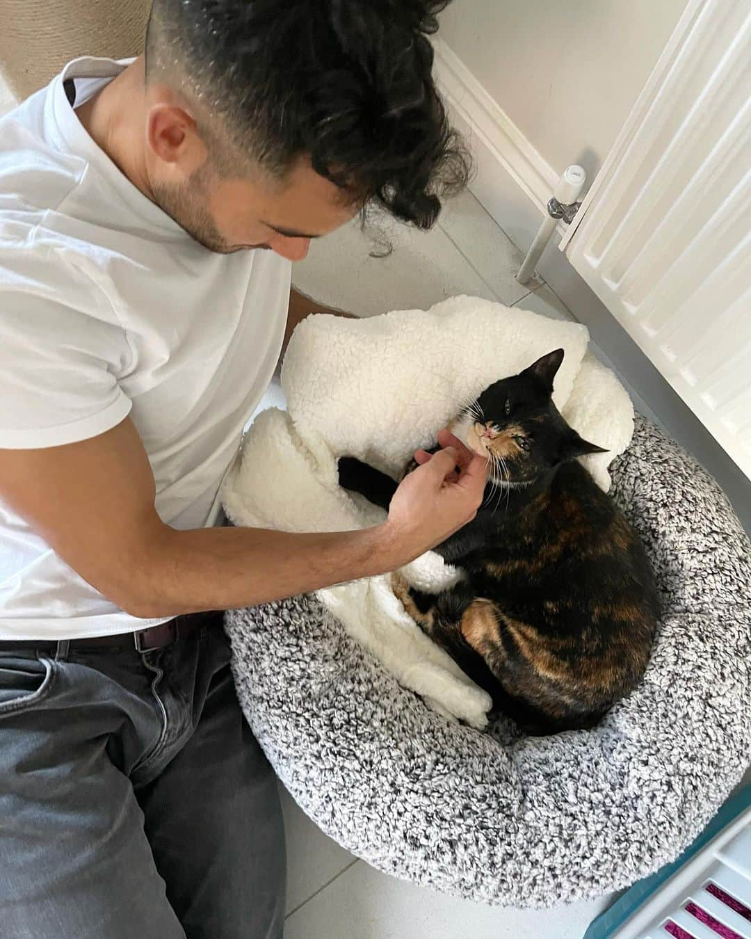 Zanna Van Dijkさんのインスタグラム写真 - (Zanna Van DijkInstagram)「Welcome to the family Bella, you are already so loved 🥰♥️ #catsofinstagram #adoptedcat #catsofinsta」1月24日 17時48分 - zannavandijk