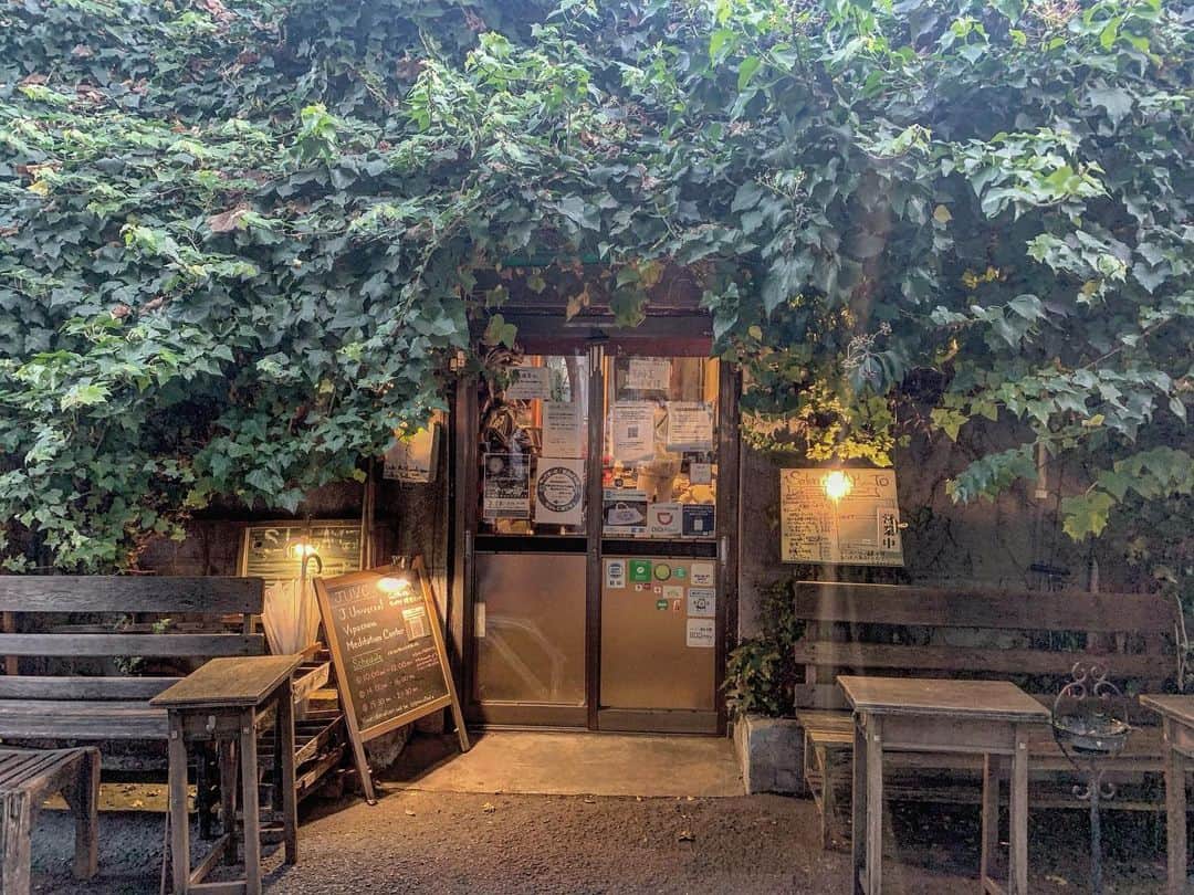 竹村美緒のグルメインスタ