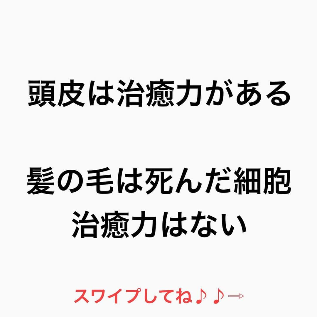 鶴谷和俊さんのインスタグラム写真 - (鶴谷和俊Instagram)「【シャンプーは…】  【洗うもの】  安い洗浄力の高いシャンプーを使おうが 高い良いシャンプーを使おうが  洗うもの  手が荒れてるのに 何度も何度も 洗うと乾燥しますよね？  そして1番理解して欲しい事は  ■頭皮は治癒力がある ■髪の毛は死んだ細胞 治癒力がない  頭皮は洗って乾燥しても 治癒力で治る可能性がある  髪の毛は乾燥すれば 治癒力で治せない。  シャンプーは 頭皮と髪の毛 全く別ものを 同じ洗浄剤で洗うという 矛盾がある事を 知って欲しいなと思います🙋‍♂️  是非 参考にしてくださいね♪♪  髪の毛の学校/鶴谷和俊  #髪の毛の学校#髪学校#髪の毛のお悩み#ヘアケア#ホームケア #髪質改善#髪の毛#髪質#トリートメント#洗い流さないトリートメント#シャンプー #ヘアアイロン #コテ #ストレートアイロン #くせ毛#癖毛#くせ毛対策#細毛#薄毛#軟毛 #剛毛#多毛#髪の毛サラサラ#髪ボサボサ #髪の毛ボサボサ #hardiEast #鶴谷和俊」1月24日 16時55分 - tsurutani_k