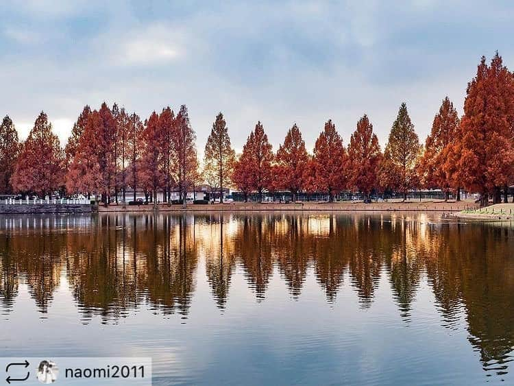 東京カメラガールズのインスタグラム：「. . 今回のフィーチャーは @naomi2011  さんの素敵な1枚👏 ご投稿ありがとうございます！ そして、おめでとうございます✨  これからもお写真の投稿楽しみにしています😊✨ ぜひ皆さんも、#カメラガールズ #東京カメラガールズ をつけて投稿してみてくださいね！ 素敵な写真を見つけ次第、こちらのアカウントでご紹介させていただきます😊 . . . . ＼部員募集／ カメラガールズメンバーになると 楽しいイベントや貴重な体験が 盛りだくさん！ 🖥 www.camera-girls.net カメラガールズ で検索してぜひ部員登録してね！ 登録は無料です(*´ᴗ`*)♪ . . . .」