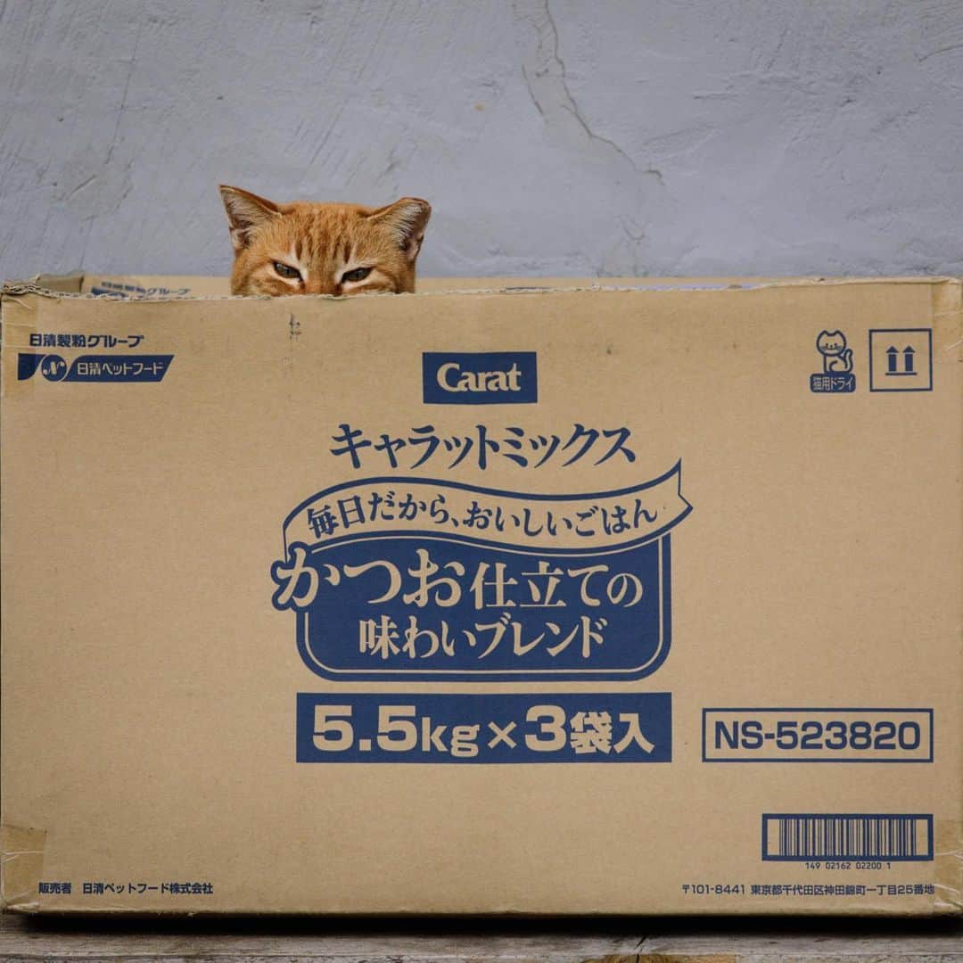 ををつかのインスタグラム