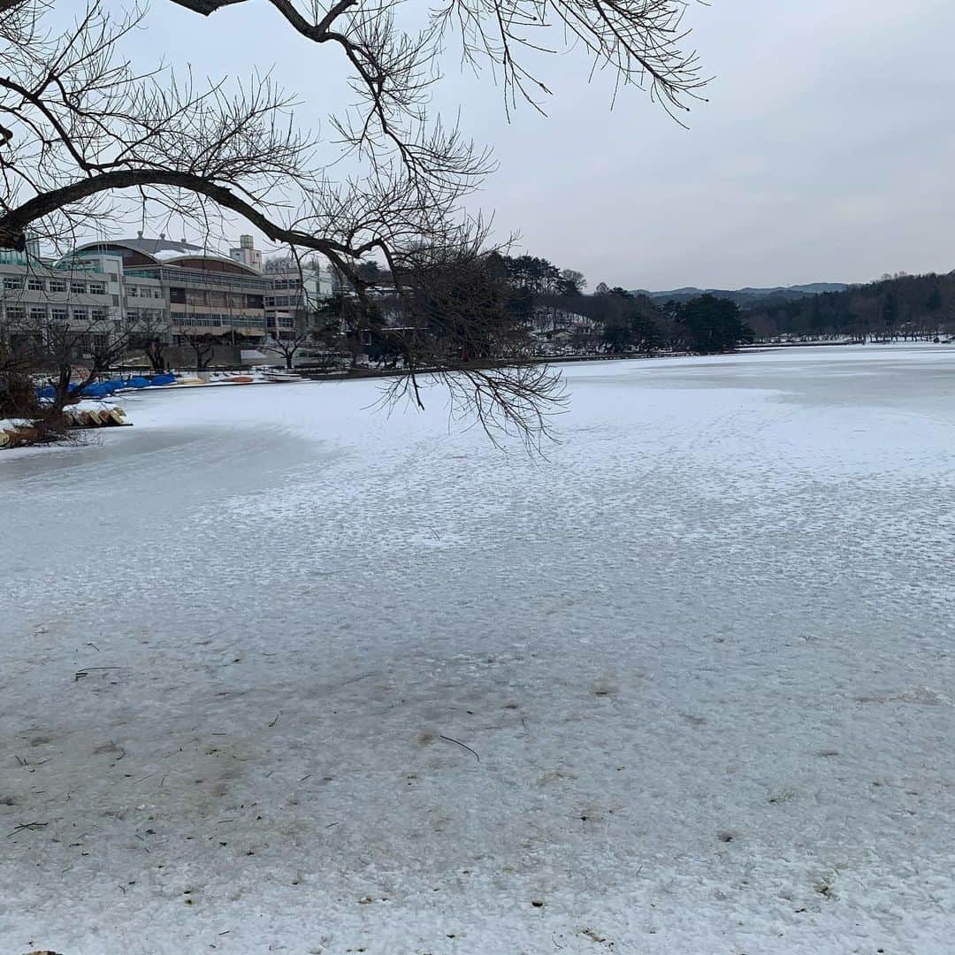 大隅智子さんのインスタグラム写真 - (大隅智子Instagram)「冬の朝。 薄曇りの中、岩手山がよく見えました。 積雪が多いですね。　 盛岡の今朝の最低気温はマイナス5.9度。 盛岡市の高松の池は、 広く凍ってました。 路面はツルツル。 凍結の恐ろしさをこの冬は実感。 #岩手 #岩手山 #盛岡 #高松の池」1月24日 9時55分 - tomokotenki