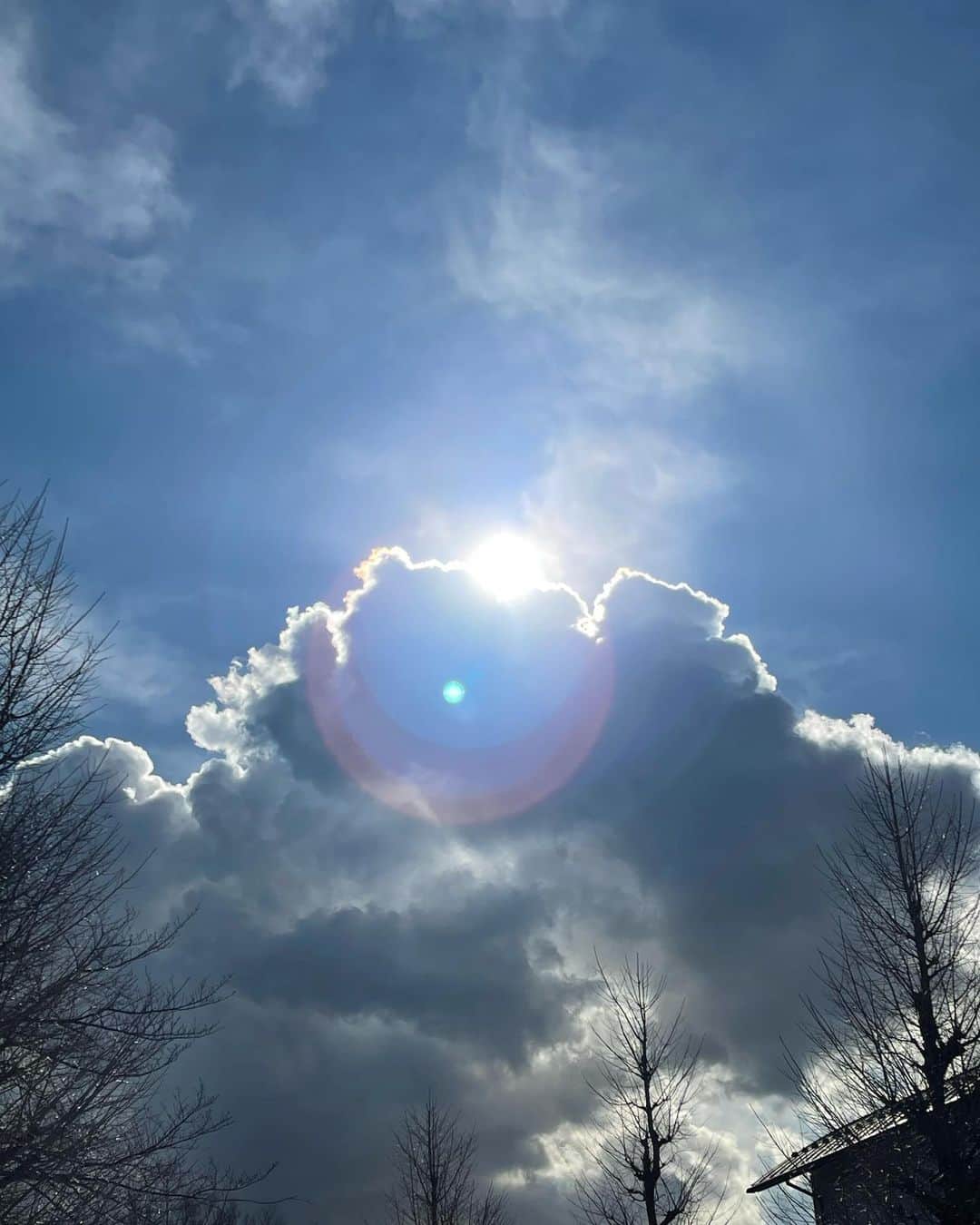 IKEさんのインスタグラム写真 - (IKEInstagram)「太陽を撮ってしまう、癖なんです。  ヘキ」1月24日 10時29分 - ike1984official