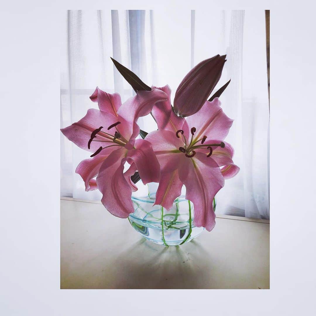 西山喜久恵さんのインスタグラム写真 - (西山喜久恵Instagram)「💐 とあるイベントのお手伝いをしたお礼に、 百合の花を頂きました。 大輪の花が咲くたび 幸せな気持ちになります‼️ 最近、私の周りで結婚の報告を してくれる人が多く、 花をあげたり、食事をしたり、 これでもか⁉️というくらい お祝いしたいです。 どうかお幸せに💐  #花シリーズ #幸せな報告ありがとう #今はちょっと我慢 #百合の花」1月24日 11時40分 - kikue_nishiyama