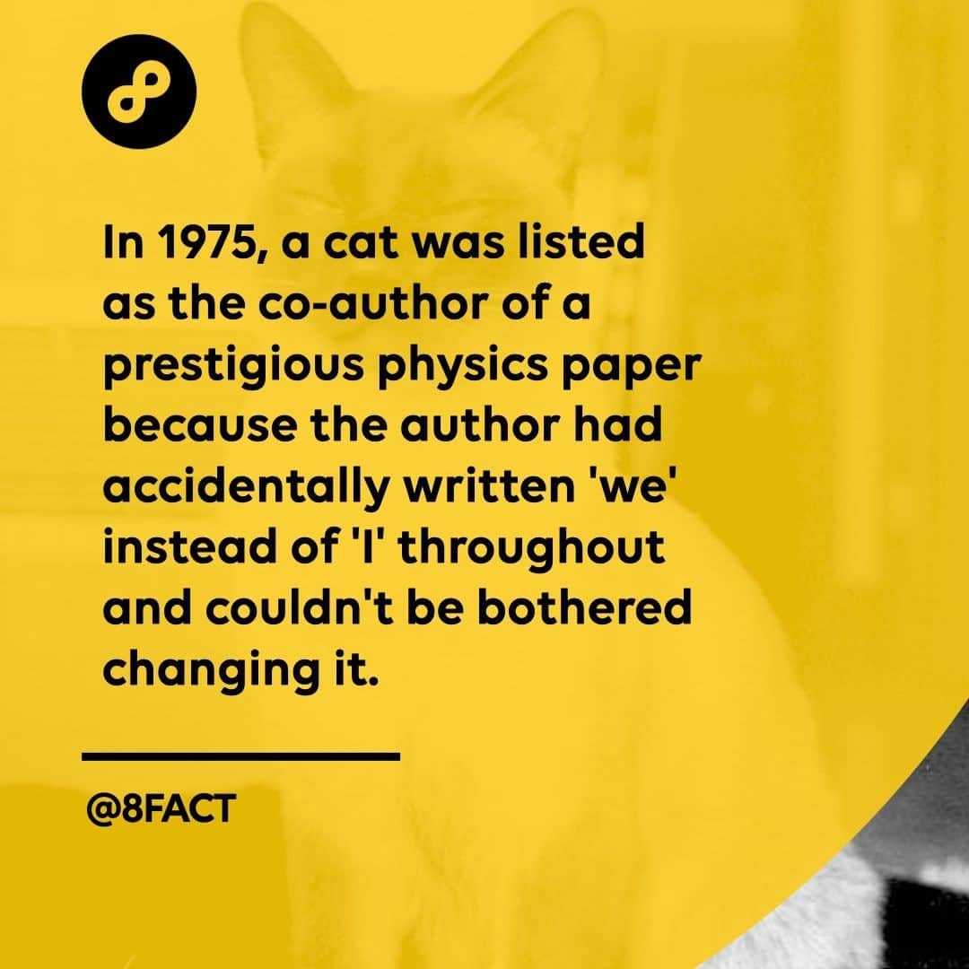 さんのインスタグラム写真 - (Instagram)「The pen name of that Siamese cat was F.D.C. Willard.」1月24日 12時33分 - 8fact