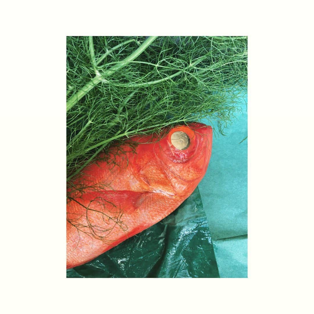 journaleatripさんのインスタグラム写真 - (journaleatripInstagram)「fish stock  フェンネルの香りがよすぎてマスクの中につめたくなる。  金目鯛のガラでフェンネルたっぷりつかって出汁をとる  頭と記念撮影」1月24日 13時29分 - eatripjournal