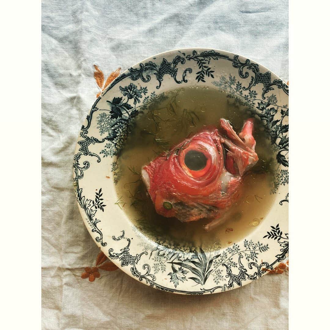 journaleatripのインスタグラム：「fish stock  フェンネルの香りがよすぎてマスクの中につめたくなる。  金目鯛のガラでフェンネルたっぷりつかって出汁をとる  頭と記念撮影」