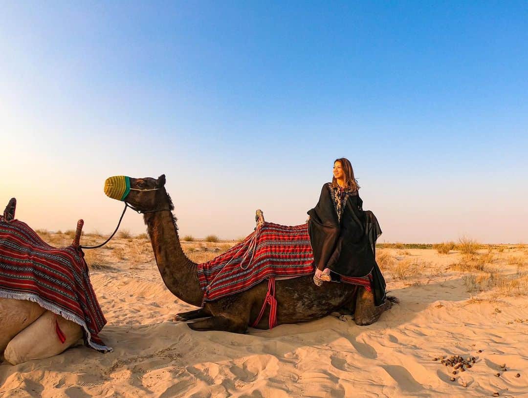 myumyuさんのインスタグラム写真 - (myumyuInstagram)「#camelride   #dubaï#Dubai#dubaitravel#dubaitrip#travellover#travelgirl#camel#camelride#Arabic#camel#camelriding#camelrides#ドバイ#ドバイ旅行#ドバイ観光#海外旅行#旅好き#旅行好き女子#旅行好きな人と繋がりたい#旅好きな人と繋がりたい#ラクダ#可愛い動物#動物好き#アラビアン#アバヤ」1月24日 13時44分 - myumyu_travel_bikini
