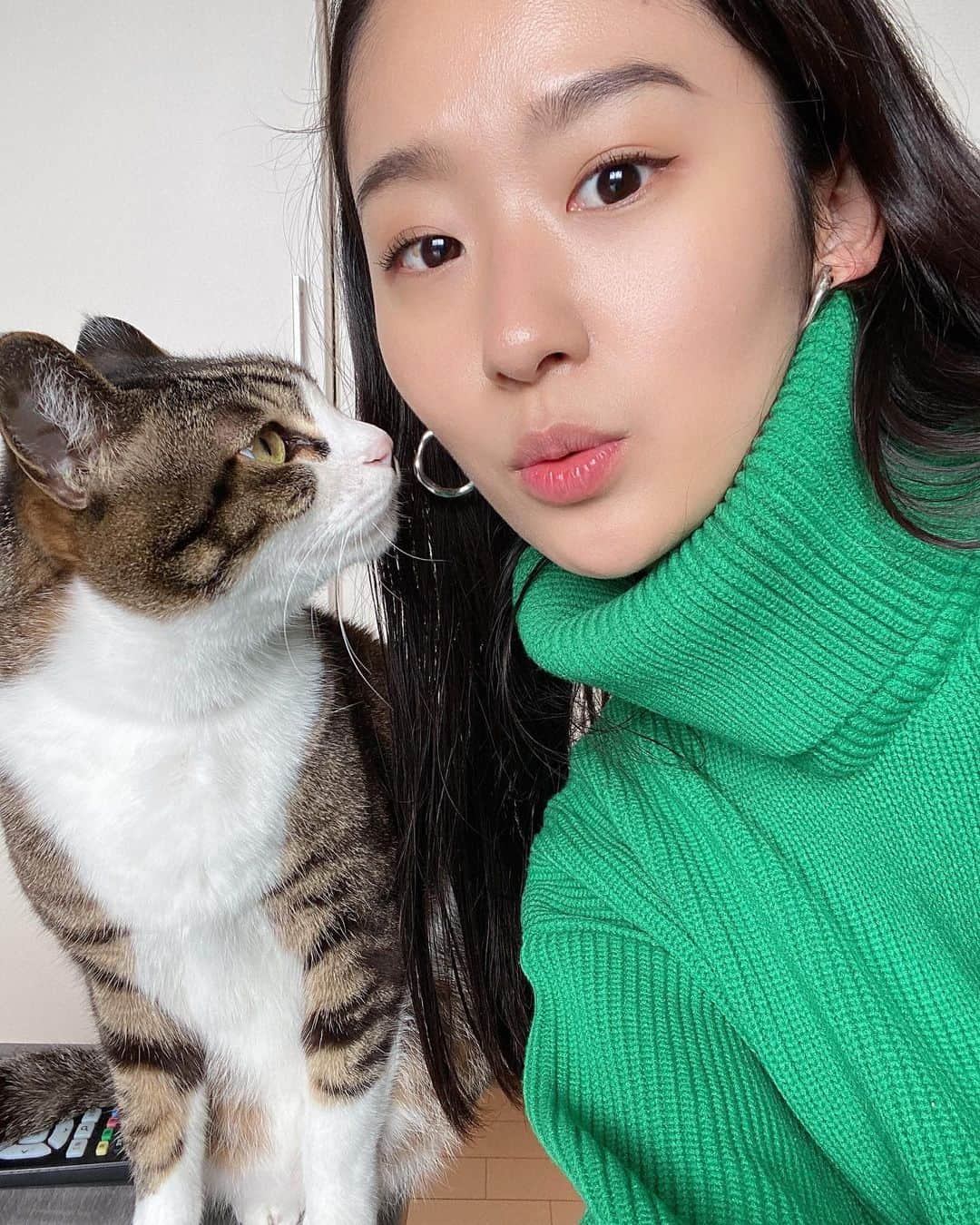 廣岡聖さんのインスタグラム写真 - (廣岡聖Instagram)「🐱」1月24日 13時45分 - hirooka_hijiri