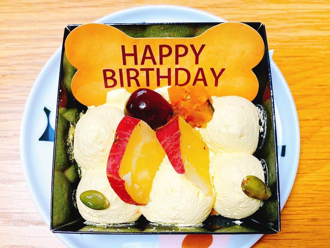 倉田雅世さんのインスタグラム写真 - (倉田雅世Instagram)「Facebookページ更新しました。 わんこのケーキ、ちょっと味見したのですが、これが美味しい！ #倉田雅世 #倉嶋らむね」1月24日 13時41分 - kuralamune