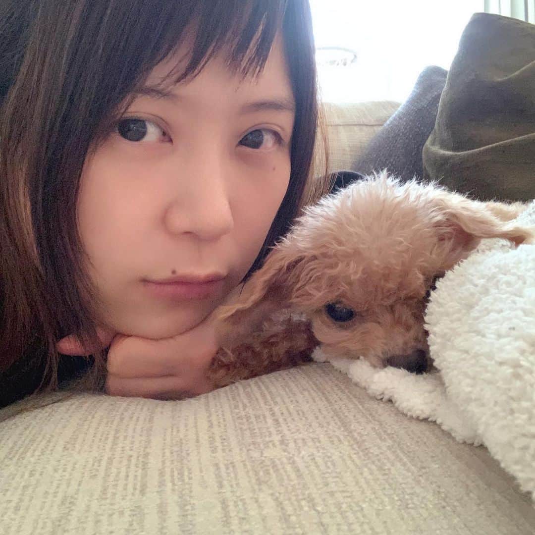 絢香さんのインスタグラム写真 - (絢香Instagram)「今日は一段と冷える❄️  アオラキあったかい🐶🐶  #dogs #twins  #おうち時間 #アオは後ろ向いて寝てる #写真はラキちゃん」1月24日 14時17分 - ayaka_official_jp