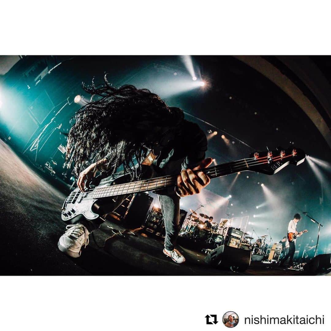 菅原卓郎さんのインスタグラム写真 - (菅原卓郎Instagram)「Brutal🐺  #Repost @nishimakitaichi  ・・・ 9mm Parabellum Bullet 2021/01/19@人見記念講堂 #9mmparabellumbullet #中村和彦」1月24日 14時46分 - takuro_sugawara