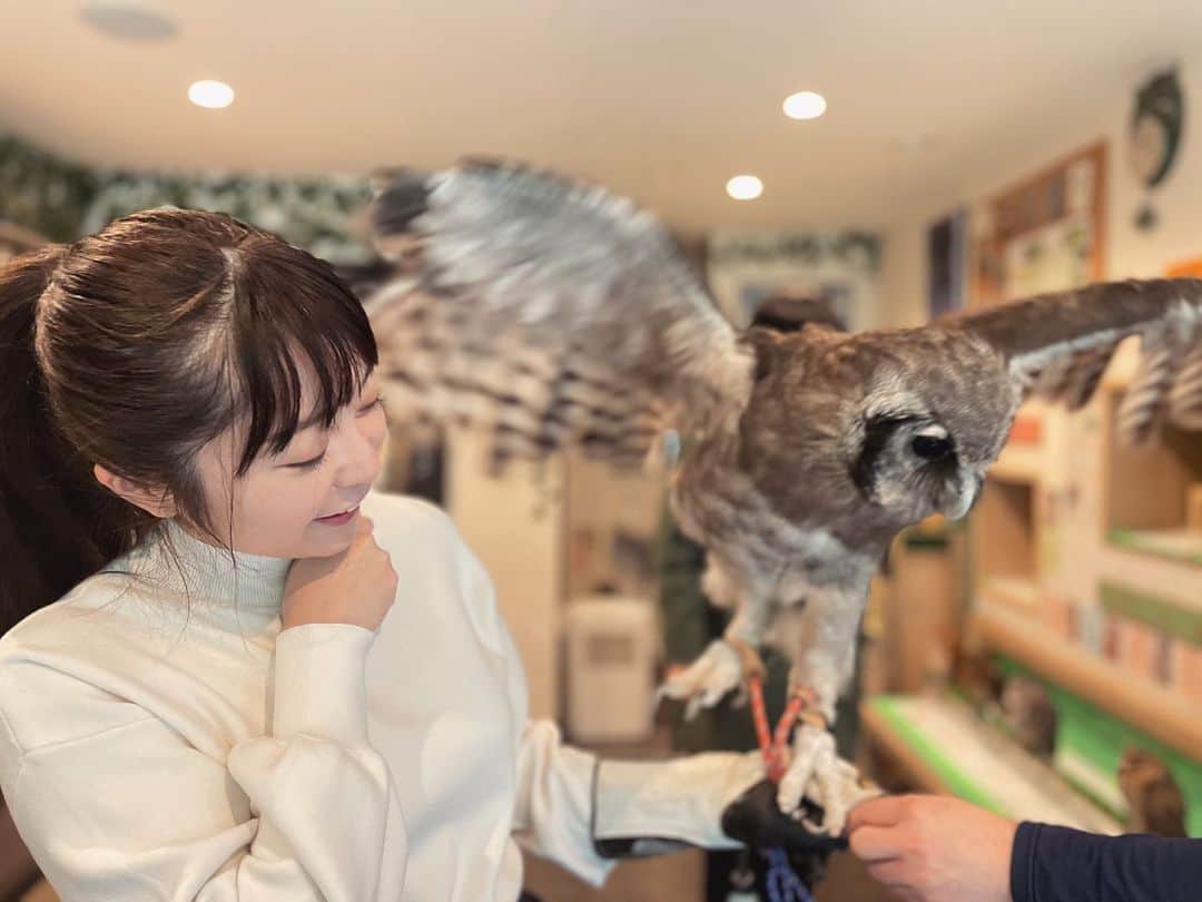 星那美月さんのインスタグラム写真 - (星那美月Instagram)「きゃわいい💓🦉  #ふくろう #フクロウカフェ #owl」1月24日 14時52分 - mitsukihoshina