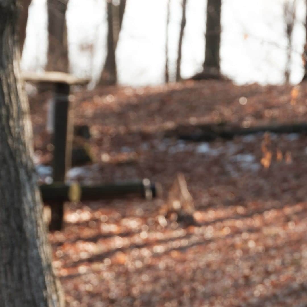 ヒラハルのグルメインスタ