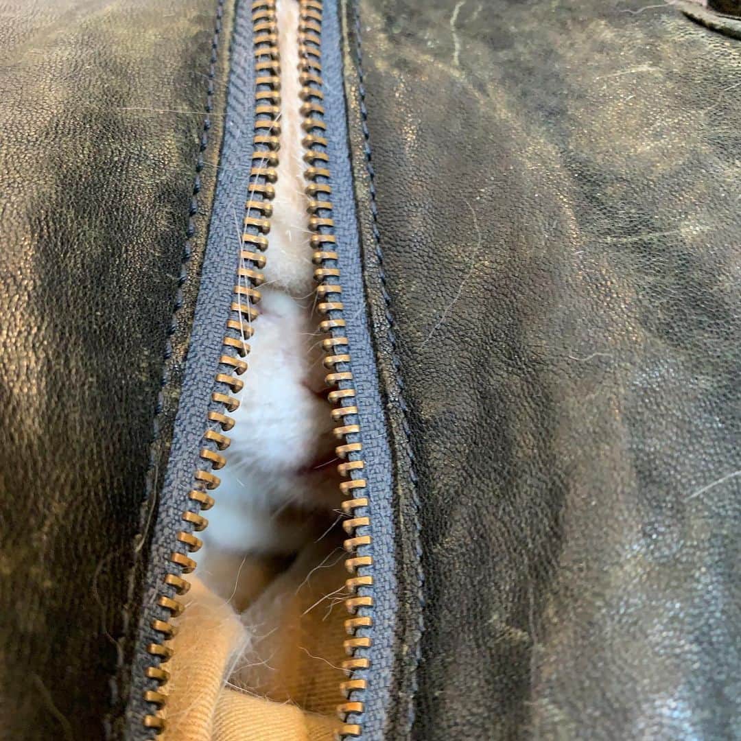 Kachimo Yoshimatsuのグルメインスタ