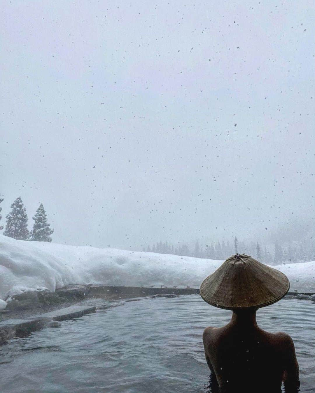 渡辺由布子のインスタグラム