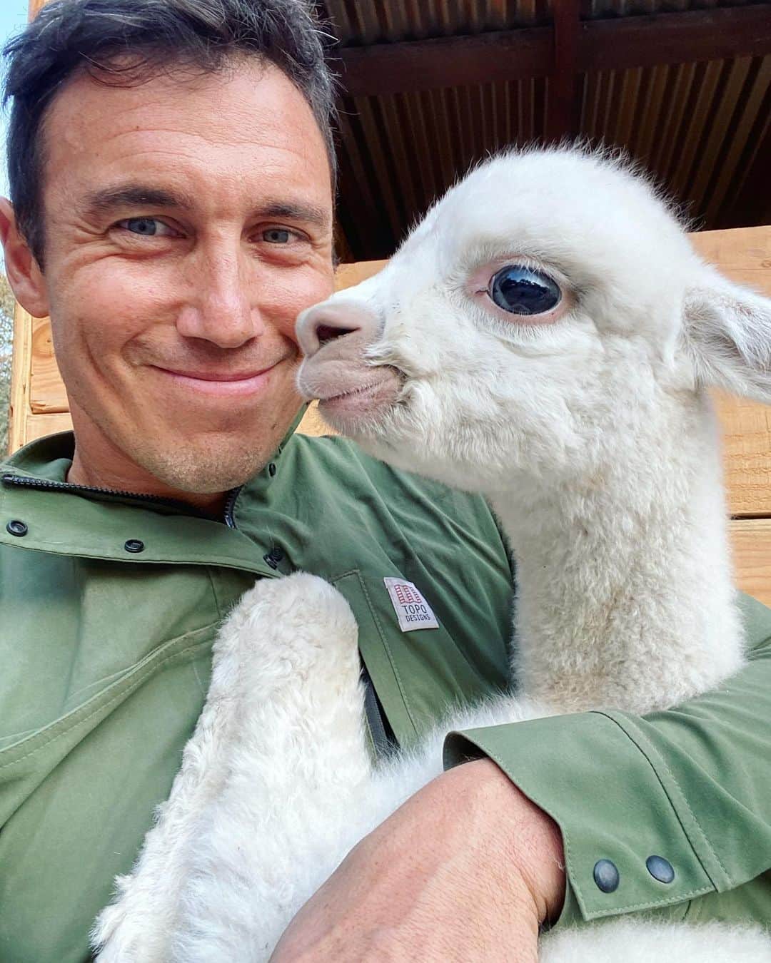 クリス・バーカードのインスタグラム：「Came for the photos, stayed for the Alpaca content.  It’s amazing how fast they grow. From newborn wobbly knees to running & frolicking in the herd, it has been almost 6 months of watching Lóa & Falkor grow. One of the many upsides of 2020 for me was the extra time at home to help birth these two with @brea_face . What an experience that was.... definitely have learned to love a little more having these two around. Images are from the week they were born.」
