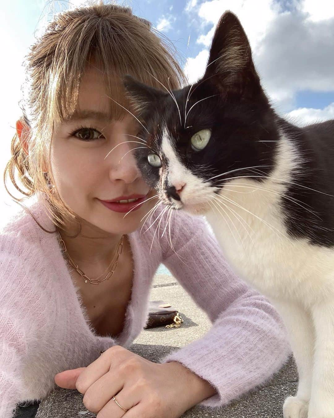 ちほのインスタグラム：「気分屋のヌコ🐾  自由だね〜すてきだよ🐈」