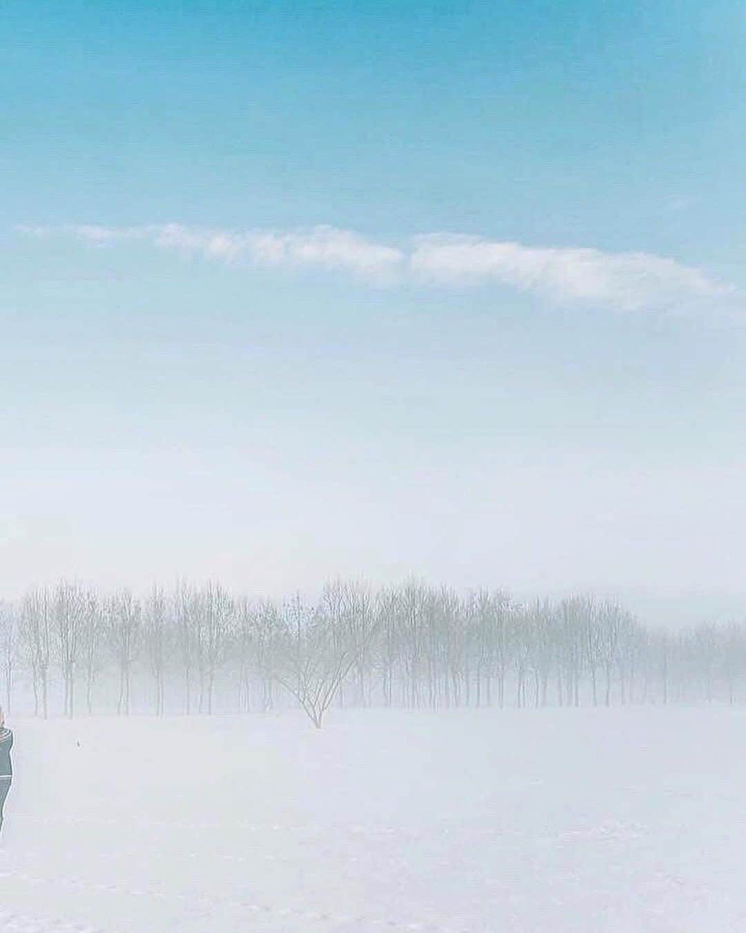 yukiさんのインスタグラム写真 - (yukiInstagram)「・ ・ ・ Wonderful winter days ・ ・ ・ ◉sty830 base shop◉ https://sty830.base.shop/ ・ ・ ・ #新潟　#雪　#雪景色　#福島潟」1月24日 19時06分 - sty830
