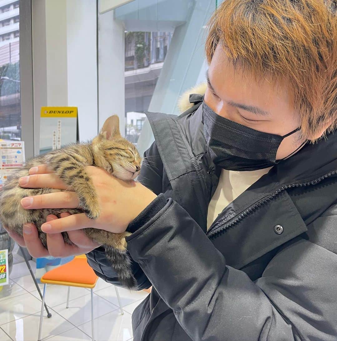 トミックのインスタグラム：「子猫とふれあえるイベントあったので遊びに行きました🐈  #トミスタj  #トミック　#youtuber  #猫　#子猫　#ベンガル　#cat  #子猫と触れ合えて大喜び」