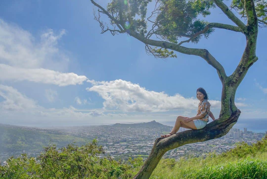 kawaiihawaiitourさんのインスタグラム写真 - (kawaiihawaiitourInstagram)「タンタラスの丘にあるインスタ映えの、木の上に乗ってダイアモンドヘッドを眺めるインスタ映えスポットです！カワイイ・ハワイ・ツアーでは、こんな絶景を回れます。少しでも多く皆さんにハワイの気分を味わってもらえたら嬉しいです！本日のハワイは、134人の感染者がでました。当社では、お客様が行きたいところを自由に選んでもらって好きなようにツアーが回れます‼️ --------------------------------------------------------- ❤️Kawaii Hawai'i Tour / カワイイ・ハワイ・ツアー ❤️✨🌈プラン🌈✨ (ハワイ州政府公認会社 PUC 497-C) ✔︎日本人経営 日本人ガイド付きツアーなので安心️🏝✨😎👍🏽 ✔︎あなただけのオリジナルツアーが作れます ✔︎初ハワイ満喫コース、オススメスケジュールご用意しています‼︎ ✔︎ガイドブック派？それともローカル体験派？ ✔︎なんでもご相談下さい 💁🏽‍♂️💁🏽☀️🏝✨😎👍🏽 ✔︎お写真もたくさんお撮りします🤳 ------------------------------------------------------ お客様の笑顔が私達の笑顔をモットーにツアーをさせてもらっています🚙🚖🚘 --------------------------------------------------------  #ハワイ #hawaii #絶景 #タンタラスの丘 #コロナ　#ファインダー越しの私の世界 #カカアコ #ハワイ好き #ラニカイビーチ #天国の海 #ハワイウェディング #ハワイ行きたい #ハワイツアー #アウラニディズニー  #ハワイチャーターツアー #ハワイオプショナルツアー #ハワイ旅行 #ハワイ女子旅  #カイルア #ハレイワ 　#ハワイ挙式 #ハワイ好きな人と繋がりたい #ハワイコロナ　#インスタ映え　#ハワイ旅行 #ハワイ生活 #ハワイ情報   #オアフ島 #ホノルル　#tantaluslookout」1月24日 19時50分 - kawaiihawaiitour