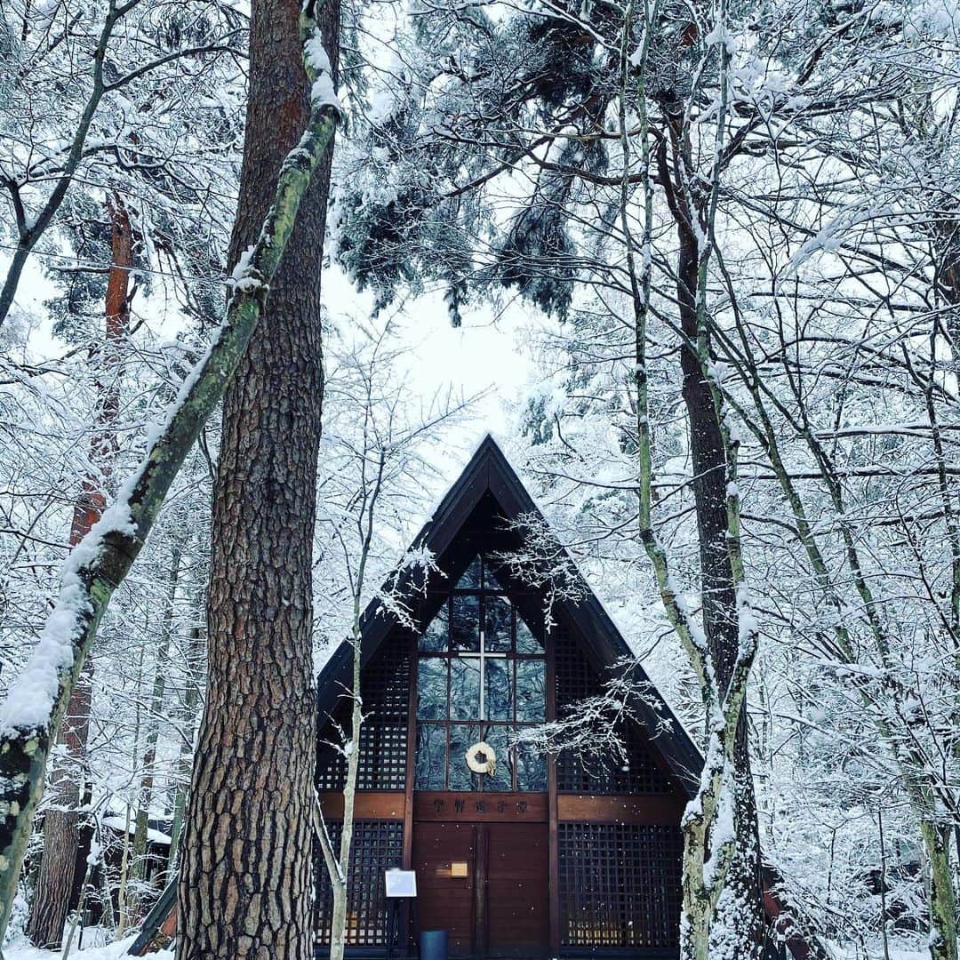 【公式】軽井沢高原教会のインスタグラム：「積もりました！ 冬ならではの景色に、大人になっても、心が躍ります。 雪化粧をした森はとても静かできれいです。  #軽井沢 #軽井沢高原教会 #雪景色」