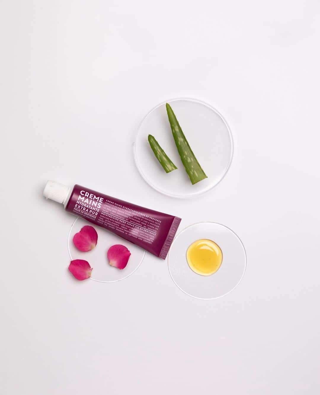 カンパニードプロバンスのインスタグラム：「Nos crèmes mains Extra Pur contiennent une association de 3 huiles végétales, de miel de Provence 🍯 et d'aloe vera 🌱 qui donnent à votre peau un coup d'hydratation immédiate. ⁠ ⁠ On en a bien besoin en ce moment Parfait pour affronter l'hiver et cette vague de froid. 🌿 96,7% d'ingrédients d'origine naturelle⁠ --⁠ Our Extra Pur hand creams contain a combination of 3 botanical oils, Provence honey and aloe vera 🌱 which give your skin an immediate hydration boost. Perfect to face winter and this cold snap. 🌿 96.7% natural origin ingredients」