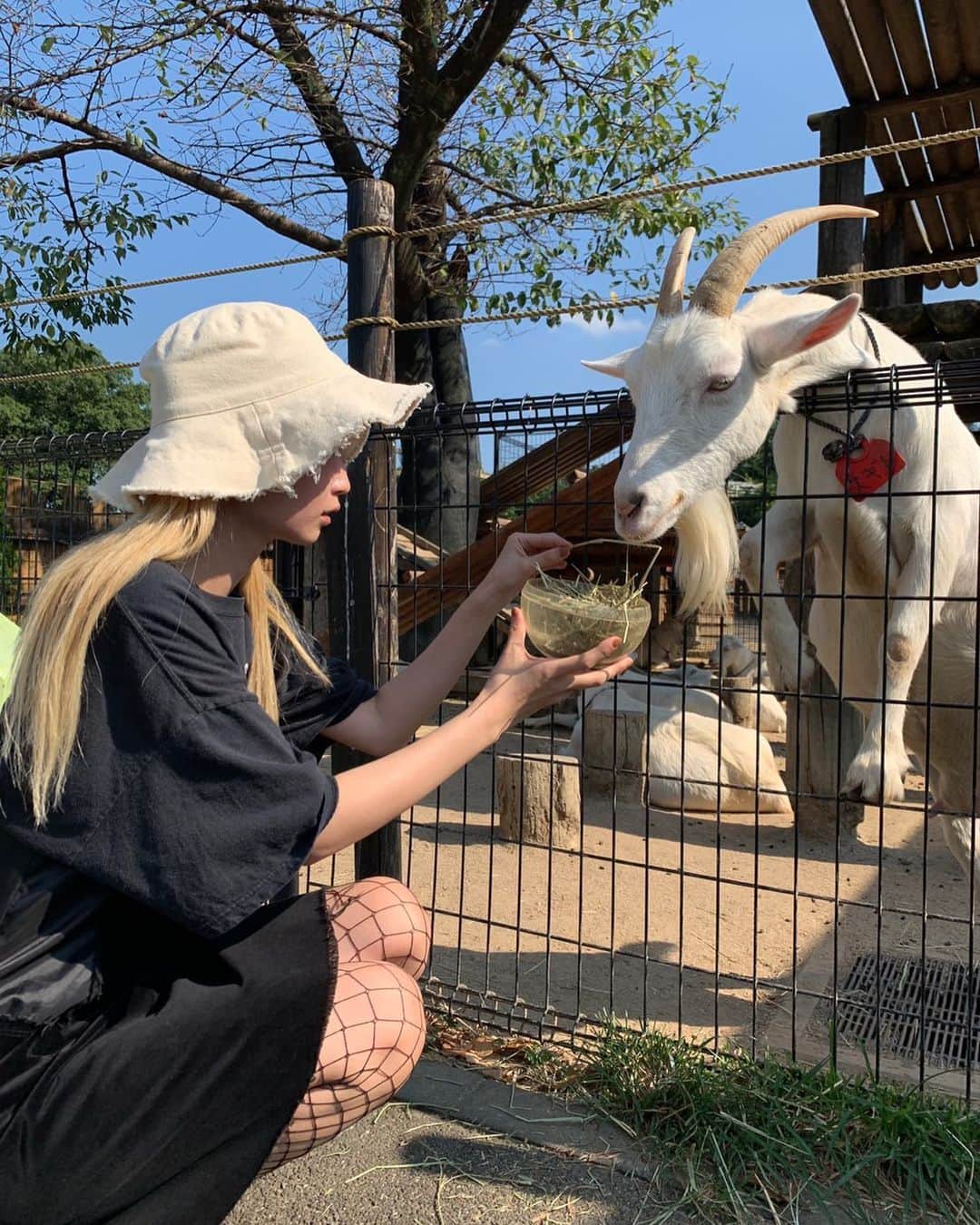 のインスタグラム：「おっきくなるんだぞスギト #夏のおもひで」