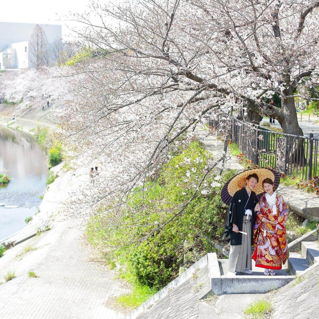 ドレスショップ ラヴォーガのインスタグラム：「満開の桜といっしょに！🌸 桜の名所山崎川で おふたりの笑顔いっぱいのお写真が撮れました！  フォトウェディングも 春の時期のお問い合わせが 増えてきております！  お気軽にご相談ください♪ * * 🍀ドレスショップ　ラヴォーガ🍀 @wedding_la_voga * * * あなたのお気に入りの１着を 一緒に見つけませんか？ * ご自分だけの特別なオーダードレス・・・ ファーストドレスで 大切な１日をさらに特別な、嬉しい１日に♡ * 👗ファーストドレスってなに？ 📷フォトウェディングについて知りたい✨ ┈┈┈┈┈┈┈┈┈┈┈┈┈┈┈┈┈┈┈ ☆+:;;;;;;:+☆+:;;;;;;:+☆+:;;;;;;:+☆+:;;;;;;:+☆ あなたのお気に入りの1着が見つかる♪ LA VOGAのショップサイトへは プロフィールから♡→ @wedding_la_voga ☆+:;;;;;;:+☆+:;;;;;;:+☆+:;;;;;;:+☆+:;;;;;;:+☆ ┈┈┈┈┈┈┈┈┈┈┈┈┈┈┈┈┈┈┈ ⭐️@wedding_la_voga ドレス選びでお困りの際にはご相談ください❤️ * ＊あなたのご希望にぴったりのウェディングドレス👰 ＊テーマに合わせたカラードレス👗 ＊彼もおしゃれにタキシード✨ ＊特別感いっぱいの和装👘 ＊ブーケや髪型などコーディネートのご相談も💐 * ＊数多くのドレスの中から 　納得できるドレス選びができる・・・ 　チャペルで撮影できるフォトウェディングもご提案！ * ＊お得な特典やキャンペーンもございます🎁 ┈┈┈┈┈┈┈┈┈┈┈┈┈┈┈┈┈┈┈ 『こんなドレスが着たい！』 『なかなかぴったりのドレスが見つからない😢』 『自分にどんなドレスが似合うのかわからない😣』 .etc….  * ぜひお悩みをお聞かせください！ 熱い想いを持ったコーディネーターが ご希望にお応えします❗️ * 皆さまの結婚式が 大切な、特別な1日になりますように お手伝いさせていただきます✨ * ドレスショップ ラヴォーガ * ┈┈┈┈┈┈┈┈┈┈┈┈┈┈┈┈┈┈┈ #花嫁 #プレ花嫁  #東海花嫁  #名古屋花嫁 #名古屋プレ花嫁 #結婚式 #結婚式準備  #結婚式コーデ  #全国のプレ花嫁と繋がりたい  #日本中のプレ花嫁さんと繋がりたい  #プラコレ #ウェディングドレス #オーダードレス #ロケーションフォト #海外挙式 #ドレス選び #フォトウェディング #ウェディングフォト #前撮り #2021春婚#2021夏婚 #2021秋婚#2021冬婚 #桜ロケーション #季節感のある #桜前撮り #素敵な笑顔 #色打掛 #山崎川」