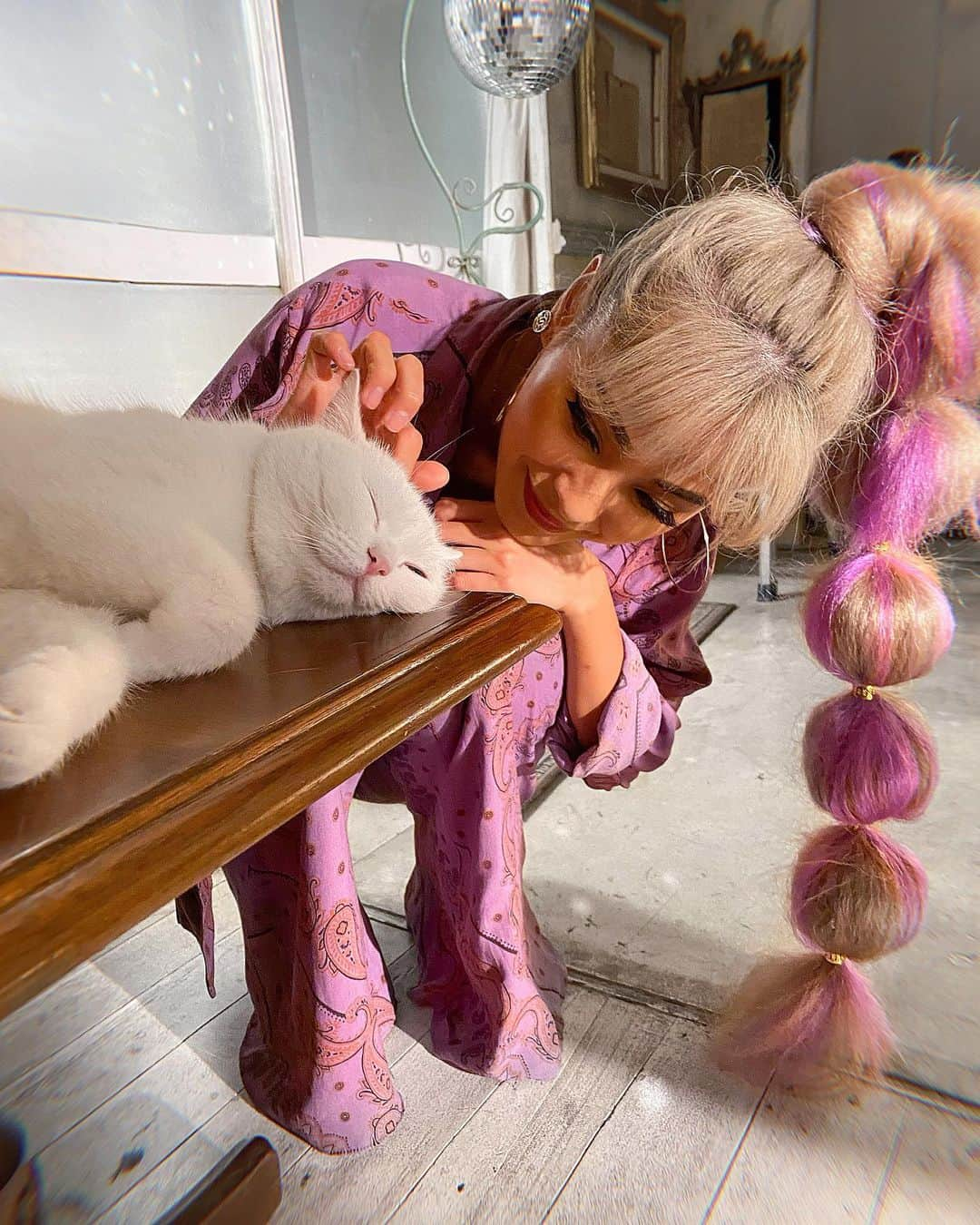 雨森はなこのインスタグラム：「懐かしゃしん📸 スタジオの看板ねこちゃんにメロメロなった時😂🐈♥️ ここのスタジオ素敵だったうえに看板ねこちゃんまで素敵だった😻😻😻 #instagood#instadaily#cat#catstagram#ootd#shooting#コーデ#ねこ」