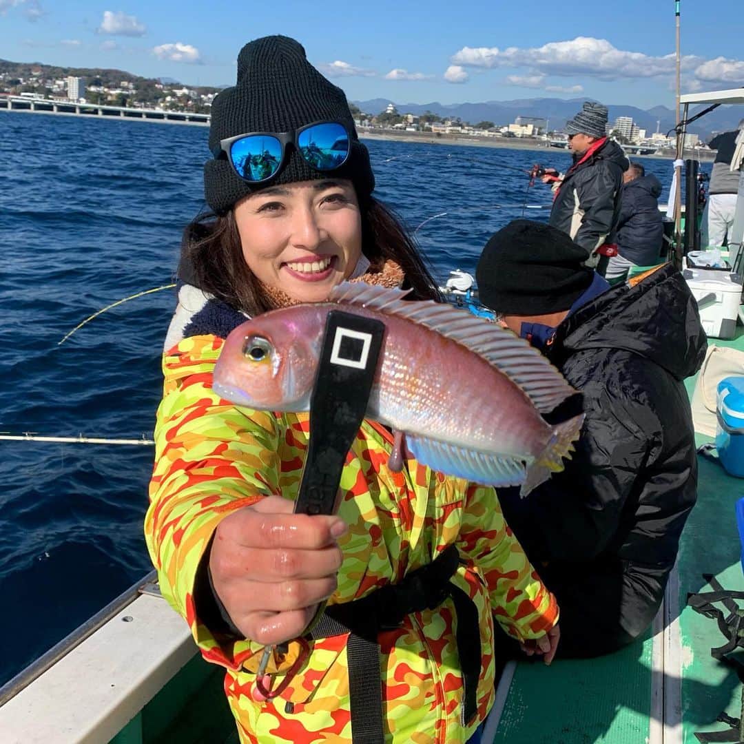 川目梢のインスタグラム：「先月釣ったアマダイ🎣 型は出ませんでしたが、、、 松本アナよりはデカかった、、、笑  #アマダイ #アマダイ釣り #釣り #釣り好きな人と繋がりたい #釣りガール #釣りスタグラム #釣り女子 #釣り好き #釣りバカ」